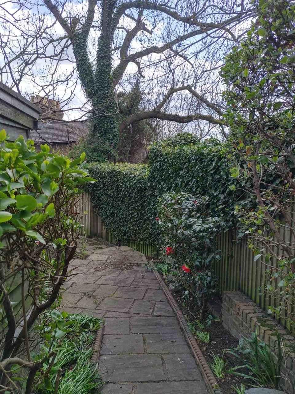 garden pruning Forest Hill