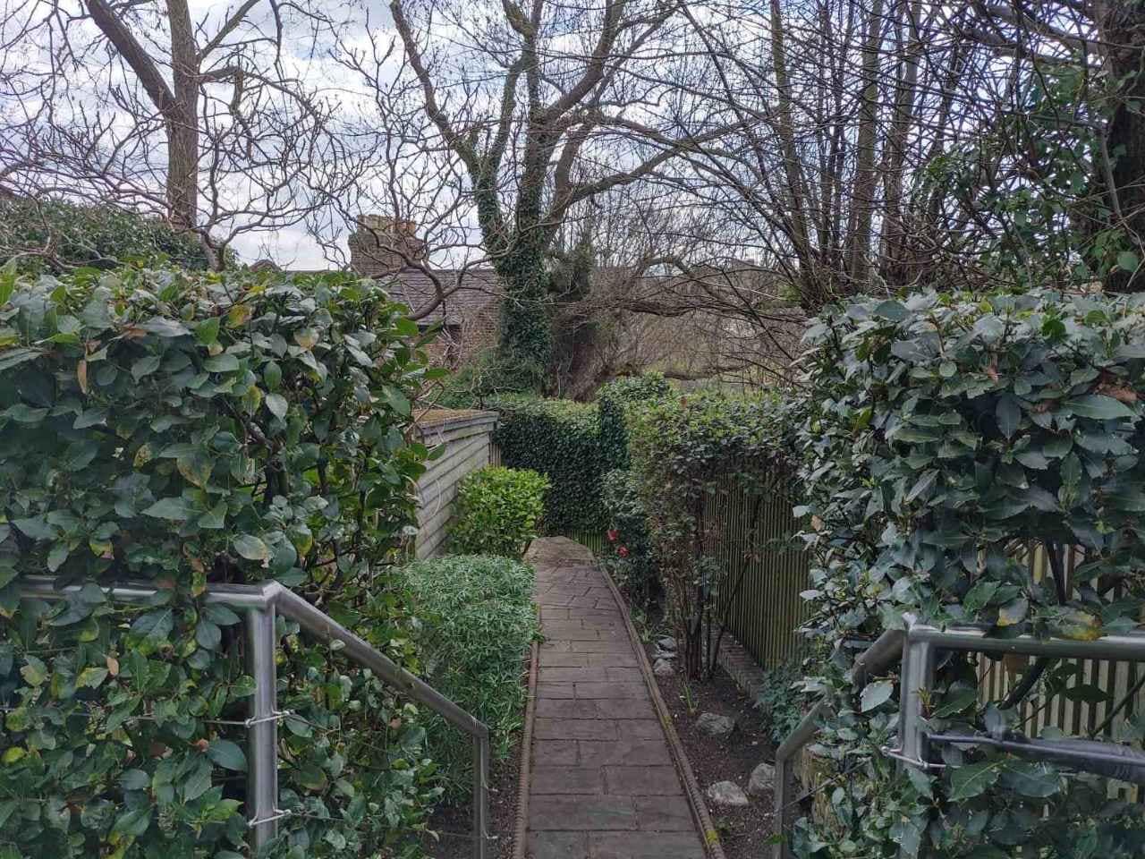 garden tidy-up Forest Hill