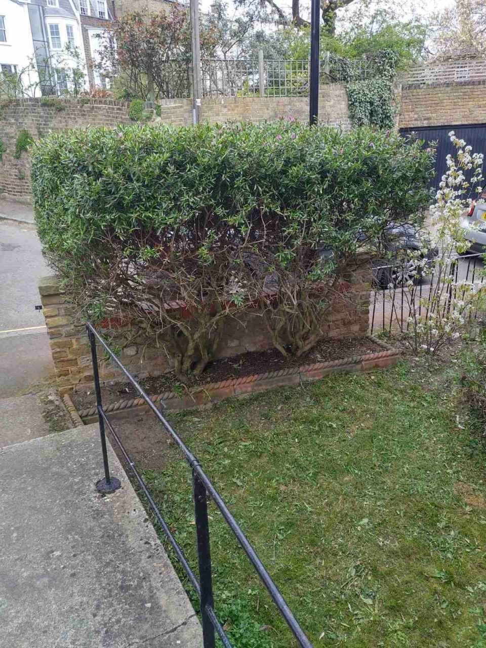 lawn mowing Forest Hill