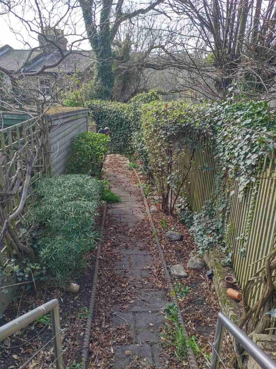 leaf clearance Forest Hill