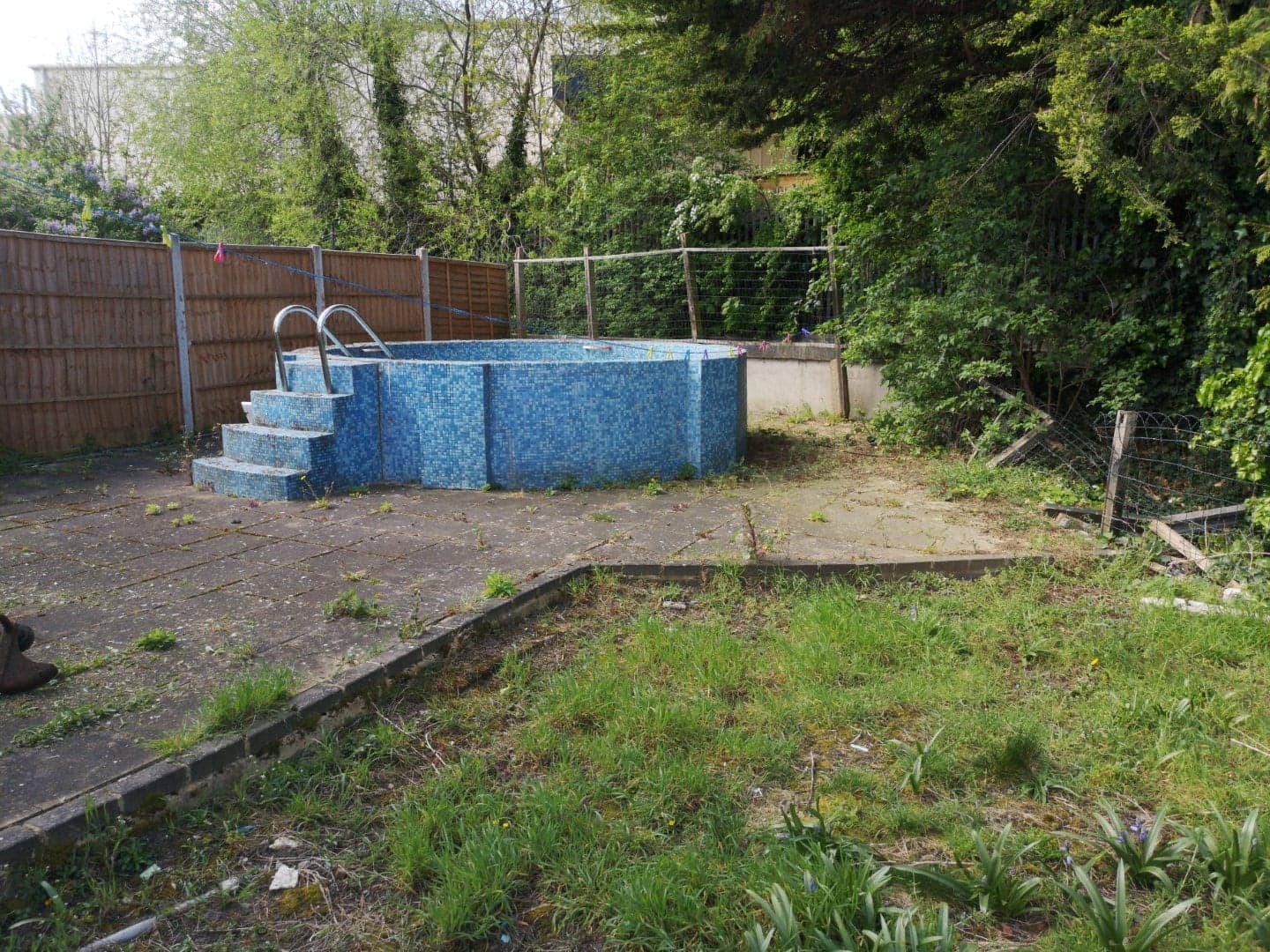 overgrown garden clean-up services Catford