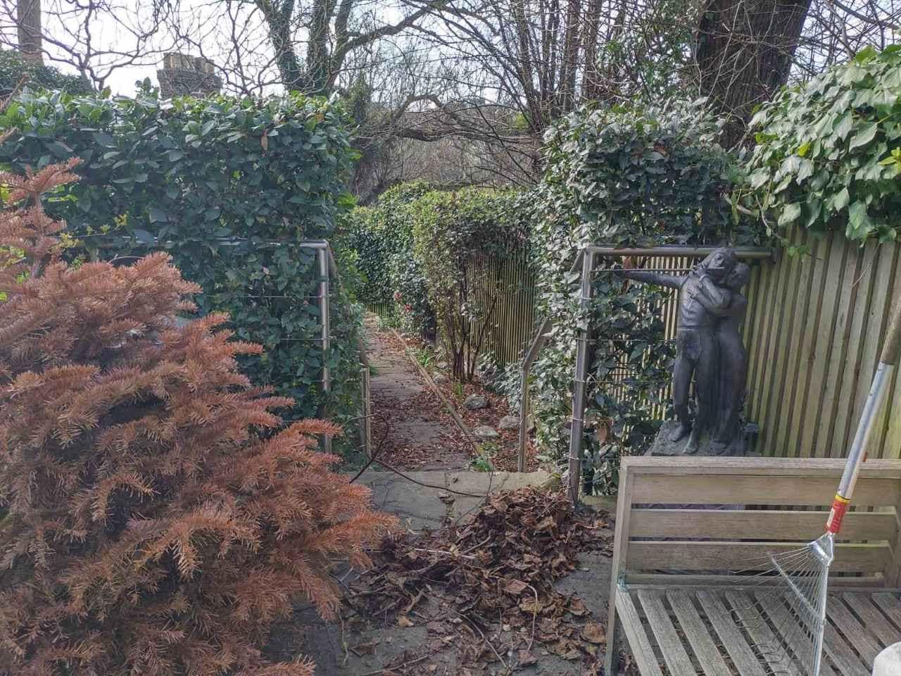 rubbish clearance Forest Hill