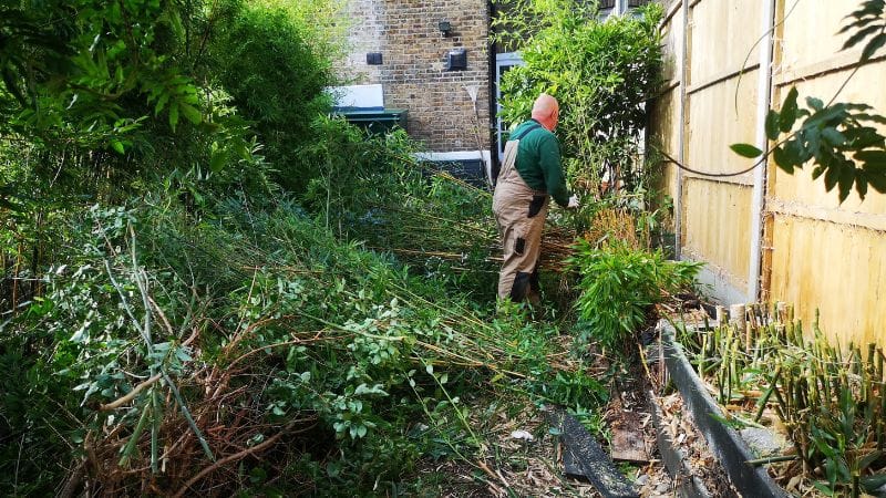 Garden clearance services South East London